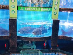 -千岛湖小鱼儿·淳安匠心农家菜