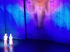 -勐巴拉娜西大剧院