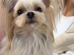 -FAELING PETS美天灵宠物(合生汇店)