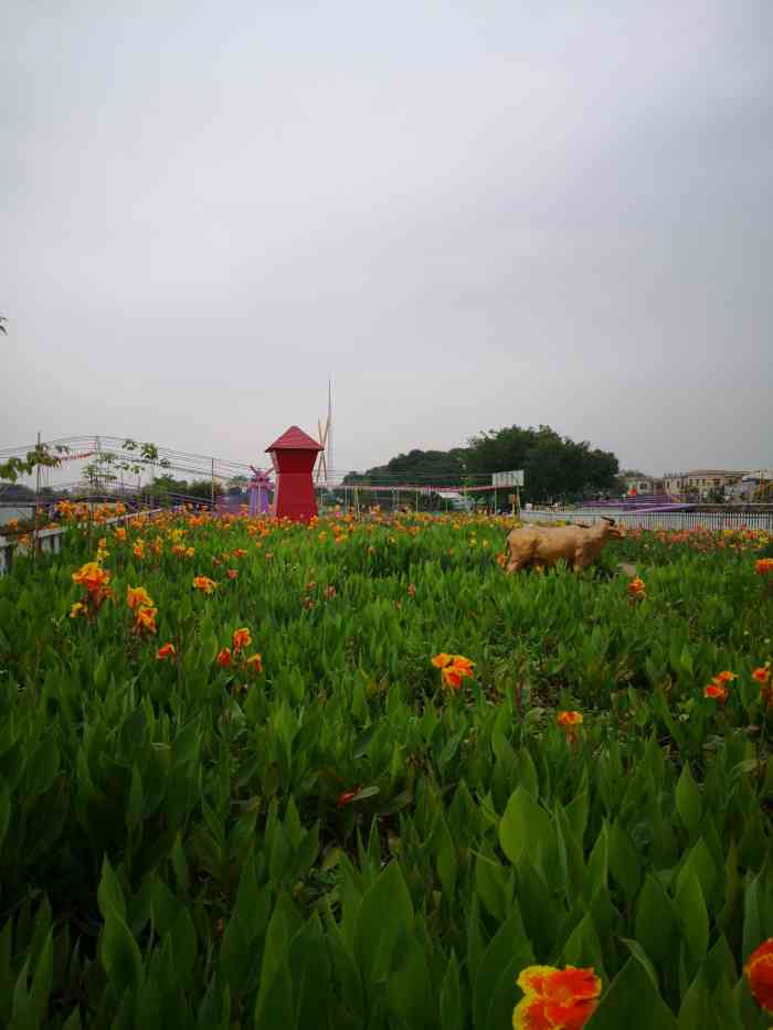 伟丰生态农场-"我们单位在这里举办的六一活动~星期六那天.