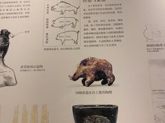 -上海崧泽遗址博物馆