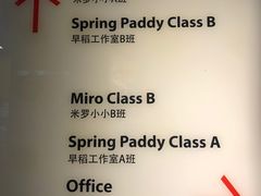 -杨梅红艺术教育(西湖万达校区)