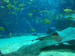 -福州罗源湾海洋世界旅游区