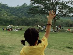 -风云岭森林公园