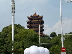 -小秋水饺(大成路总店)