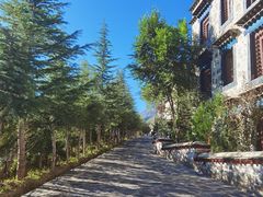 -松赞拉萨林卡酒店