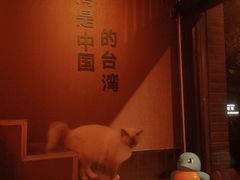 -潭子茶屋(天台店)