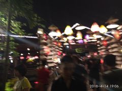 -河内西湖莲花自助餐厅