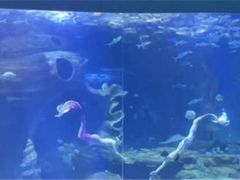 -多彩贵州城极地海洋世界