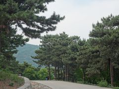 -北京西山国家森林公园