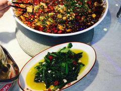 -新概念来凤鱼(璧山店)