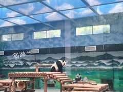 -柳州市动物园