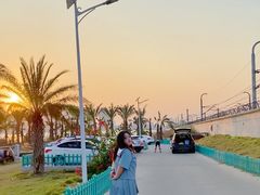 -海堤纪念公园