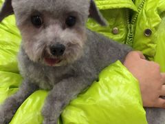 -天宠宠物医院24小时·急重症诊疗中心·全科·腔镜特色(和平分院)