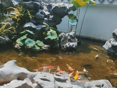 -道南書院·私房菜·早午茶·茶馆