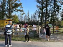 -前小桔亲子创意农场·草莓采摘·露营烧烤