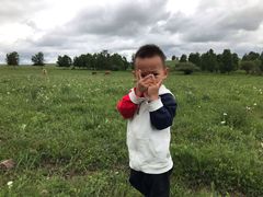 -御道口草原森林风景区