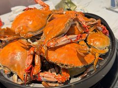-半岛听涛蒸汽海鲜自助(K11店)