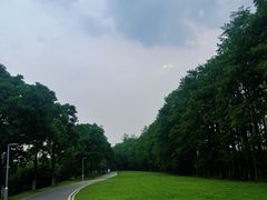 -金银湖国家城市湿地公园