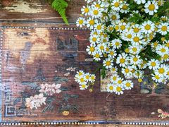 -The Flowers Coffee(南山店)