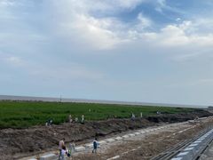 -南汇嘴观海公园