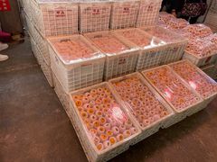 -双福水果批发市场