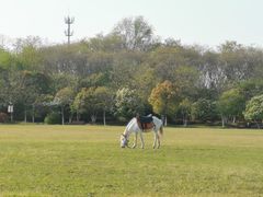 -合肥三国新城遗址公园