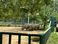 -秦皇岛野生动物园