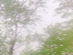-灵山