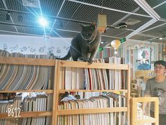 -小时光咖啡馆(开森度假森林店)