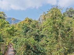 -野象谷景区
