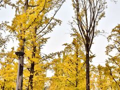 -百林公园-两江幸福广场