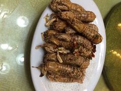 -新湛拱(兰埔路店)
