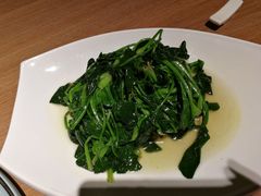 清炒菠菜-太仓珀丽酒店-粤季餐厅