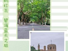 -八大关景区