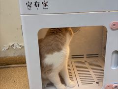-芭比堂宠物医院·全科爱猫医院·仁德分院