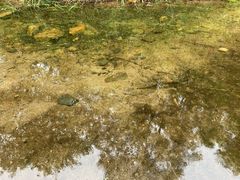 -碓臼峪自然风景区