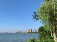 -艾溪湖湿地公园