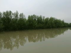 -崖口红树林海鲜餐厅