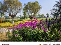 -汉长安城未央宫国家考古遗址公园