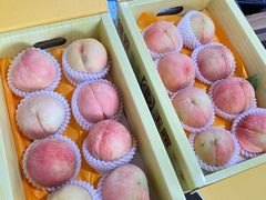 -南汇水蜜桃采摘(大团店)