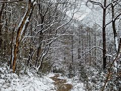 -安吉龙王山风景区