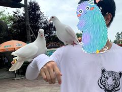-国色天乡三期陆地乐园