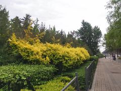 -森林公园(尖草坪区)