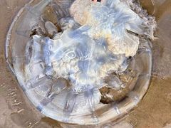 -珠海金沙滩