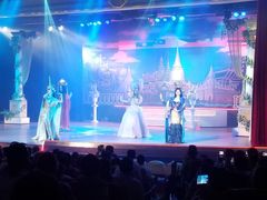 -金东尼人妖秀
