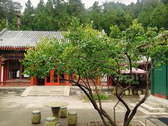 -宫事颐庭·老佛爷贵寿下午茶(颐和园店)