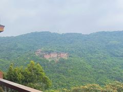 -三亚亚龙湾人间天堂鸟巢度假村