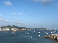 -枸杞岛