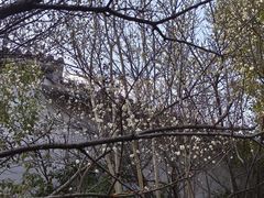 -南京市江宁方山